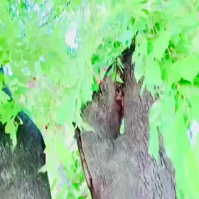 この記事の画像