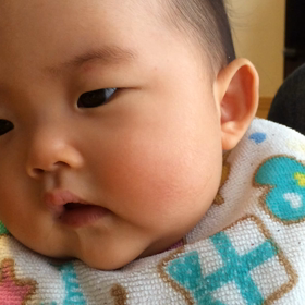 頑張っております。の画像