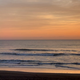 3月1日千葉北、東浪見の朝の波の画像
