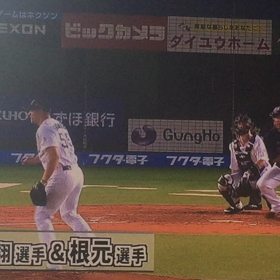 珍プレー ②の画像