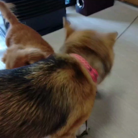 ジャンプ力半端ないっての画像