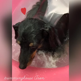 温浴シリーズの画像