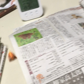 カリ…カリリ…の画像