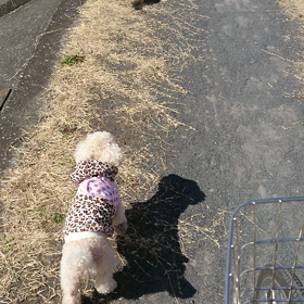 タッタカ❗タッタカ❗の画像