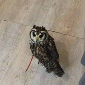 やっぱりエレンはくいしんぼの画像