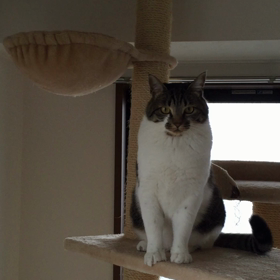 りく遊び〜ラストの画像