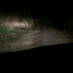 宿までの夜道@古宇利島の画像