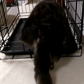 やっと…の画像