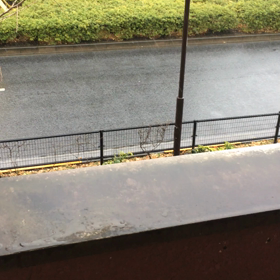 2021/1/28(木)の画像