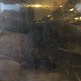 ⬛️4/12〜4/18＊酸素カプセルご利用のお友達⬛️の画像