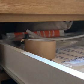 ふとりすぎの画像