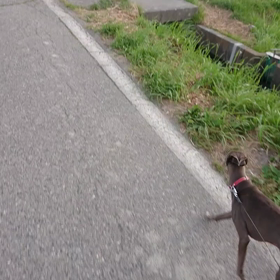 ♪ヽ(*´∀｀)ﾉおおおの画像