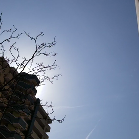 お空を見上げて…の画像