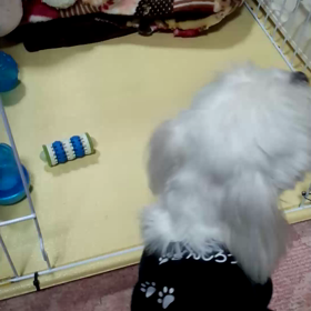 早寝早起き早食い！の画像