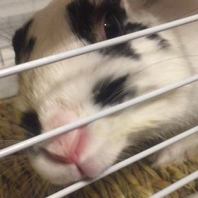 洗濯機 修理完了〜〜の画像