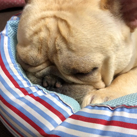 大きな赤ちゃんの画像