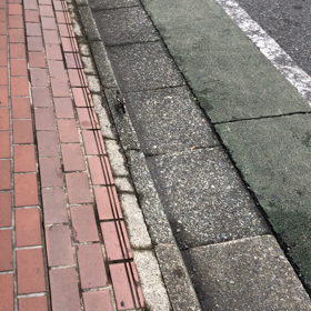 「えらいこっちゃ，えらいこっちゃ」の画像