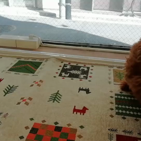 すいませんm(_ _)mブログ遅れますm(_ _)mの画像