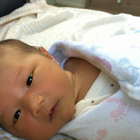 おしゃべり好きの画像