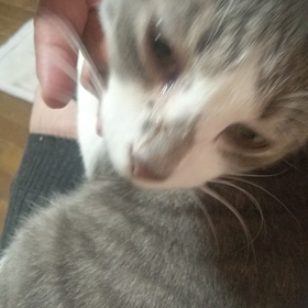 甘ったれ小僧♡の画像