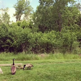 可愛い親子♡の画像