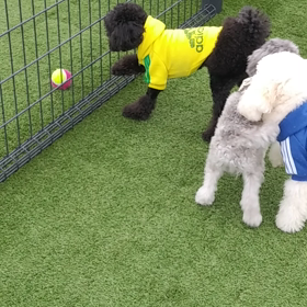 切なすぎるライの画像