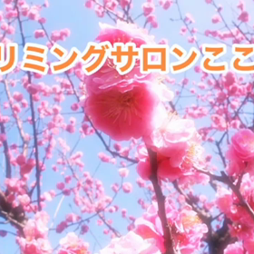 ２月　〜スライドショー〜の画像