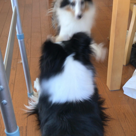 2人で遊べの画像