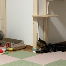 順番待ちの画像