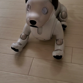 やりました‼️の画像