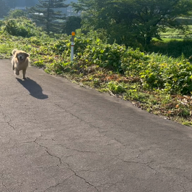 理想の合気道の画像