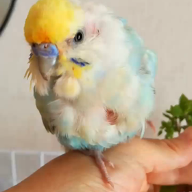 短い動画が丁度良い思い出になるの画像