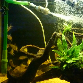 そわそわの画像