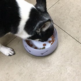 一難去ってまた一難の画像