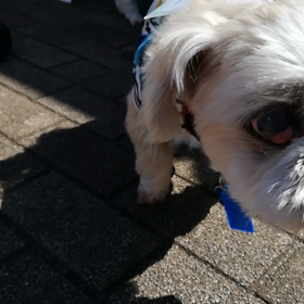 イベント御礼の画像