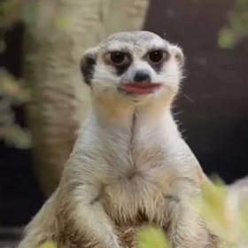 あーさんストーリー動画の画像