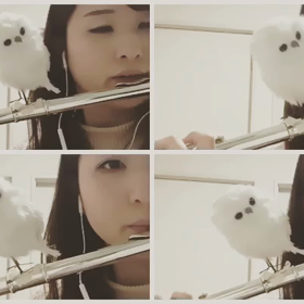 2016年ありがとうの画像