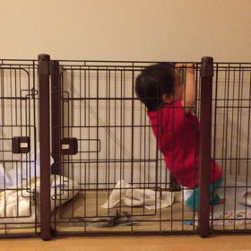 ブログ更新してないなぁの画像