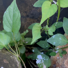 びっくりした〜！！！！の画像