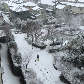 雪景色❄️の画像