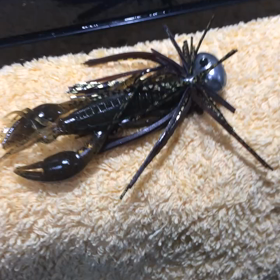 ＭＡジグの釣れる秘密…の画像