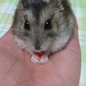 ムーちゃん♡の画像