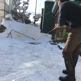 日々、キャス連有るのみ❗️の画像