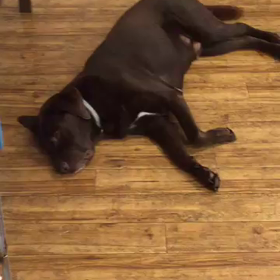 ラブくんの画像