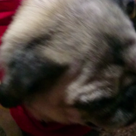 くしゃみ(>_<)/~~の画像