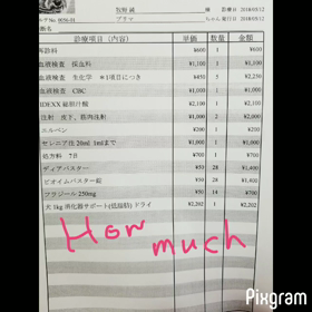 また病院行ったよの画像