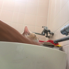 つくしちゃんシャンプータイムの画像