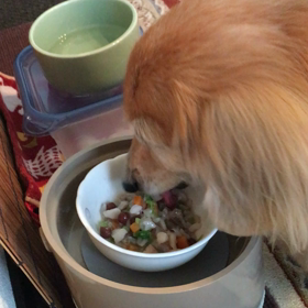 ルンルン朝ごはん♪の画像