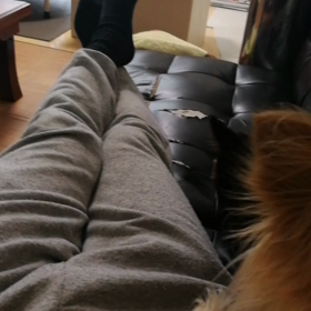 ひざ上取り合いの画像