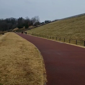 １組目 流し①の画像